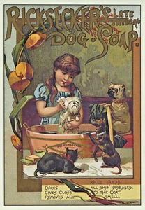 Rickseckers Dog Soap Girl Bathing Dogs  -  Vintage Trading Card Print Art - Picture 1 of 1