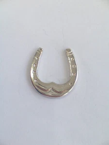 Spilla da giacca (pins) con FERRO DI CAVALLO in Argento 925 -Equitazione -Ippica - Picture 1 of 3