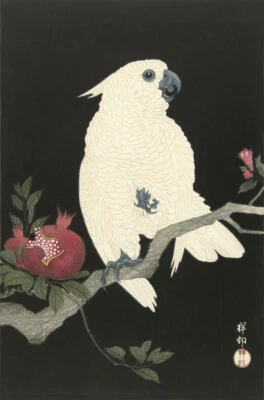HANGA HARBOR Japanese Art Woodblock Print Shin Hanga "Parrot with Pomegranate" OHARA KOSON