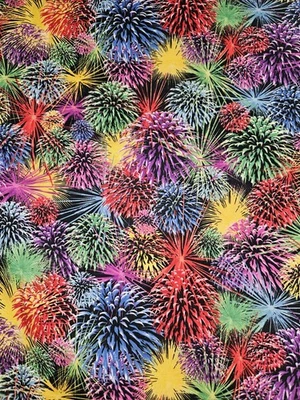 Brother Sister Design Studio 2007 colorida tela de algodón fuegos artificiales 2 yardas 15 de largo Foto 1 de 4