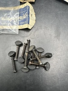 Tornillo tensor ajustador de cadena Campagnolo Dropout - Imagen 1 de 1