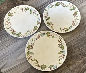 Tracy Porter Sweet Tidings Salatteller Winter Beere Stechpalme Schnee 9 Zoll 3er Set Neu - Bild 1 von 4