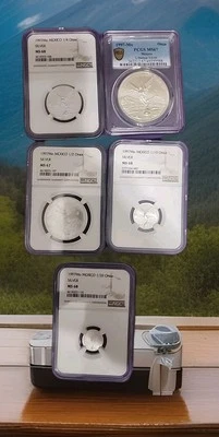 Moneda de Plata Libertad México 1997 1/20 Onza-1 Onza NGC PCGS MS 67 68 VER FOTOS Foto 1 de 4