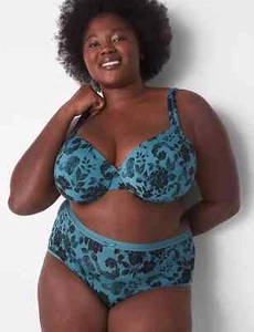 NEW Lane Bryant CACIQUE FALL BLUE GREEN FLORALS BOW NO SHOW FULL BRIEF 26 28 - Picture 1 of 2