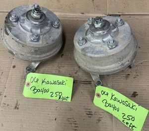 Conjunto completo de tambor de placa de freno delantero Kawasaki Bayou 220 250 buje L R KLF - Imagen 1 de 5
