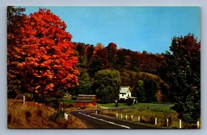 Postcard Vtg Red Barn Countryside Roadway Autumn Foliage California - Picture 1 of 2