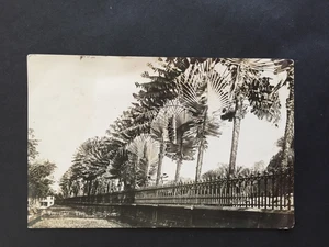 STRAITS SETTLEMENTS 1929 6c ON TRAVELLER TREE RP POSTCARD SINGAPORE PMK TO GB - Picture 1 of 2