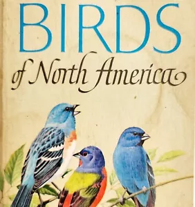 Birds Field Identification North America 1966 PB Heavy Use Golden Guide BKBX10 - Picture 1 of 6