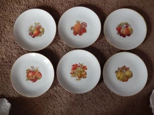 6 piatti da pane vintage fabbrica di porcellana Arzberg Bayern Fruit & Nuts bordo oro 7,5" - Foto 1 di 15