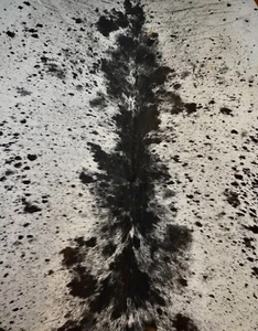 A Premium Quality Speckle Park Salt & Pepper Cowhide Rug - Picture 1 of 7