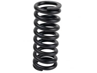 For 1990-1996 Chevrolet C60 Kodiak Door Hinge Spring 85833CSXQ 1991 1992 1993 - Image 1 of 2