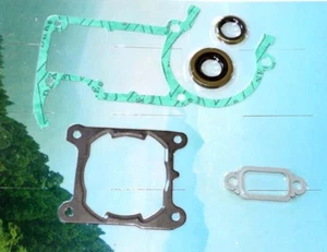 HYWAY COMPATIBLE STIHL MS 261 GASKET SET WITH CRANKSHAFT SEALS NEW 1141 07 1000 - Picture 1 of 3