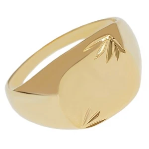 Bague chevalière homme Plaqué Or 18 carats - Taille au choix - Neuve - Picture 1 of 4