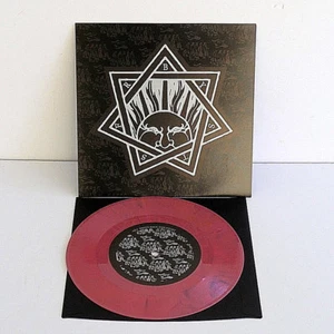 BoySetsFire bled dry, bring back the fight 7" Record COLOR VINYL , boy sets fire - Imagen 1 de 2