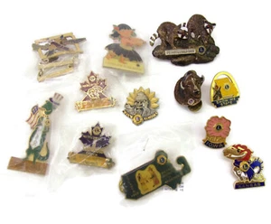 Lot Of 12 Vintage Assorted Lions Club Collectible Lapel Hat Pins New Old Stock - Picture 1 of 6