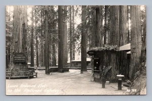 Postal vintage de California SAN LUIS OBISPO Lanes Redwood plana años 40 - Imagen 1 de 2