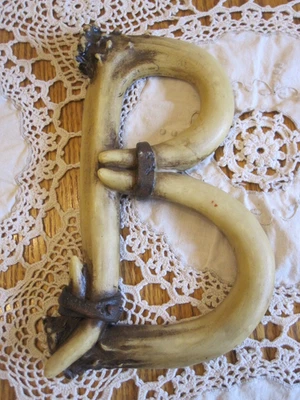 Deer Antler Letter Polyresin Name Art Cabin Home Decor 7 1/2" B - Image 1 of 2