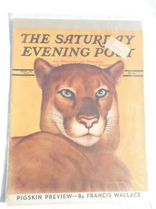 Vintage Saturday Evening Post Cover Only Sep 25 1937 Pigskin Mountain Lion P10 - Bild 1 von 2