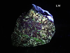 LW Florescent Zincite w Calcite, Willemite & Franklinite / Sterling NJ - Picture 1 of 7