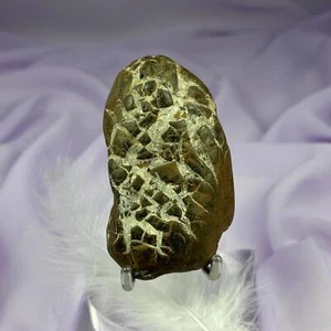 Guijarro septario alisado natural del mar, piedra relámpago 230 g SN54161 - Imagen 1 de 4