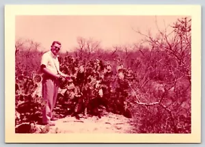 Fundfoto älterer Mann stehend mit großem Kaktus Mexiko Urlaub 1950er - Bild 1 von 2