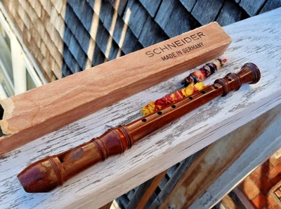Grabadora de flautas y limpiadores de cajas Schneider vintage hecha en Alemania soprano de madera Foto 1 de 4