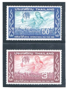 THAILANDIA 1966 Anno Internazionale del Riso - Foto 1 di 1
