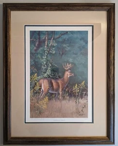 Ned Smith Print - 26/50 "Goldenrod Buck " - **Conservation Edition** - Picture 1 of 5