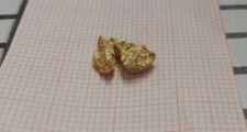 BELLISSIMA PEPITA ORO ALASKA 1,517 G GOLD NUGGET ALASKA