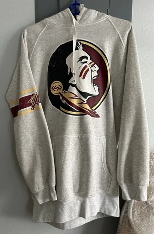 FLORIDA STATE SEMINOLES SWEATSHIRT HOODIE LARGE 12-14 GREY Cover