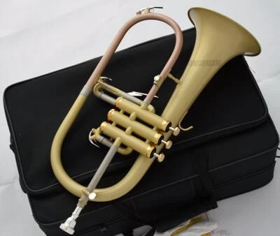 专业 Bb Flugelhorn 缎面全新 Flugel Monel 活塞 WEIBSTER 音乐剧 — 第 1/4 张图片