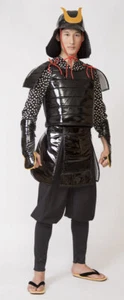 Samurai Samurai Armor Cosplay Costume Men's Helmet, Armor, Waistband, Gloves - Picture 1 of 10