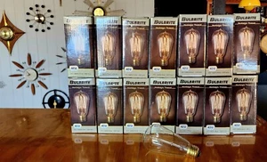 14 + 1 Edison Bulbs Bulbrite 134018 40W Hairpin Style Retro Vintage - Picture 1 of 1