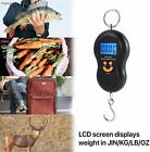 0.01g - 50kg Digital Hanging Fishing Scales Luggage Balance Weighing Suitcase