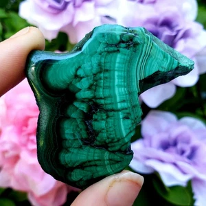 Malachite polished Slab natural crystal healing gemstone specimen - exact pc#5 - Picture 1 of 5