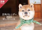 Mamesuke Best Shot Edition Wall Calendar 2023 CL23-0390 Hagoromo Kawaii Dog JP