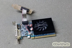 PNY nVIdia GeForce GT610 1GB Low Profile Graphics Card GF610GT1GEPB HDMI DVI VGA - Picture 1 of 1