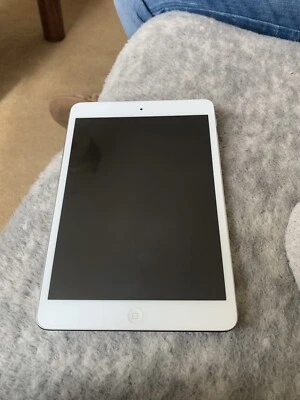 Apple iPad (1st Generation) 16GB, WiFi, 9.7 inch Tablet - Grey - Image 1 of 3