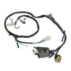 Main Electric Wire for TRX400EX 1999-2004 Rustproof Complete Wire - Picture 1 of 8