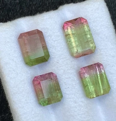 9.80 CRT   tricolor Watermelon Tourmaline Natural Earth Mined Unheated Faceted - Image 1 of 4