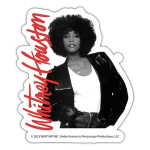 Whitney Houston Photo with Pink Nameplate Sticker, max. 4 x 4" - Picture 1 of 7