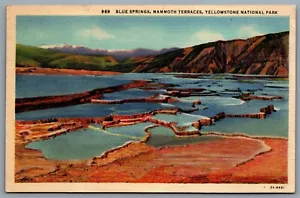 Postcard Yellowstone WY c1952 Blue Springs Mammoth Terraces CDS West Yellowstone - Picture 1 of 2