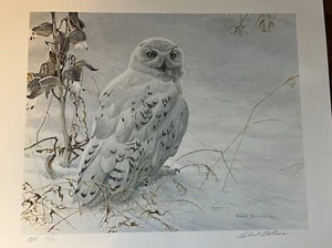 Robert Bateman ARTIST PROOF Snowy Owl And Milkweed 26 / 56 Excellent Condition - Picture 1 of 17