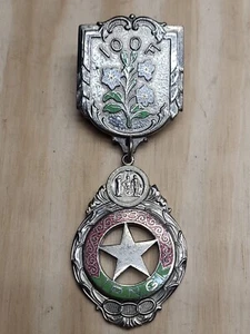 Vintage IOOF Odd Fellows Rebekah PNG Past Noble Grand Pendant Medal  - Picture 1 of 12