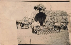 RPPC HACIENDO PILA DE HENO CON CABALLOS c1910 DE COLECCIÓN FOTO REAL POSTAL 091125 U - Imagen 1 de 2