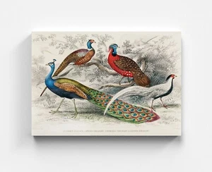 Quadro su tela paesaggio pavone decorazione moderna arte quadro da parete artista arte - Foto 1 di 7