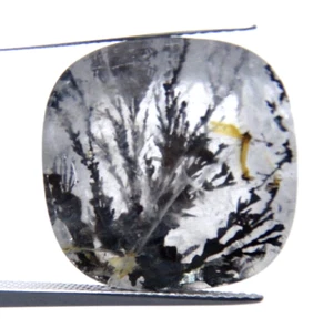 ip16 Dendrit Quarz 18,62ct 18x18x8mm Polster Bild Stein Garten Äste - Bild 1 von 3
