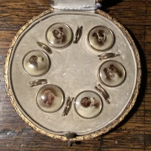 Antique Boxed Set of Six Dog Themed Dress Shirt Buttons - Picture 1 of 7
