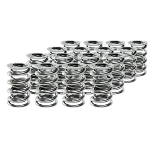 221435-16 MANLEY PERFORMANCE PRODUCTS NEXTEK VALVE SPRINGS LS SERIES .700 LIFT - Bild 1 von 1