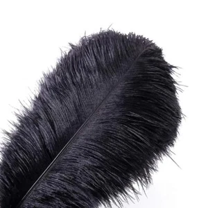 10pcs Natural Ostrich Feathers Plume 14-16inch35-40cm for Wedding Centerpiece... - Picture 1 of 4